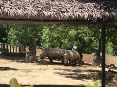 -西安秦岭野生动物园