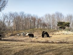 -北京野生动物园