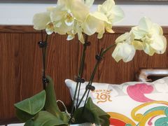 -八珍手工水饺·妈妈的爱(传芳巷店)