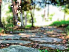 -梁鸿国家湿地公园