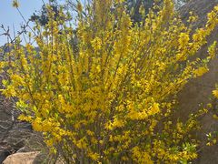 -石岛赤山风景区