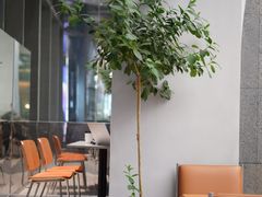 -M Stand(深圳湾后海汇店)
