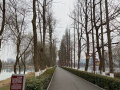 -洋湖国家湿地公园
