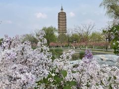 -西海子公园
