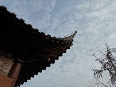 -上海白云观