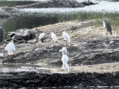 -绿堤公园