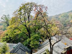 -潭柘寺景区