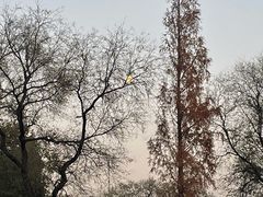 -恭王府博物馆