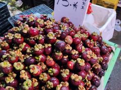 -红星农博物流中心