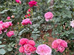 -人民公园(罗湖区)