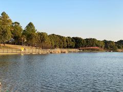 -美兰湖景区