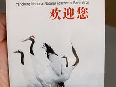 -盐城丹顶鹤湿地生态旅游区