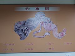 -同城四季爆肚涮羊肉(安华里店)