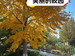 -北京市海淀外国语实验学校