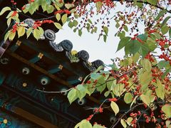 -晋祠公园