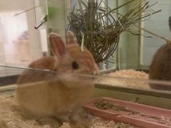 -龙猫仔乐园(惠福东路店)