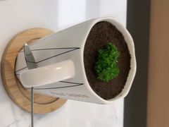 -喵园·猫主题咖啡厅·撸猫·猫咖(国贸店)