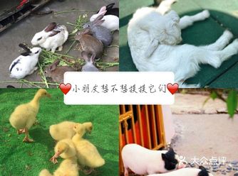 林荫新路1288号佘山茂御臻品酒店内(欢乐谷)