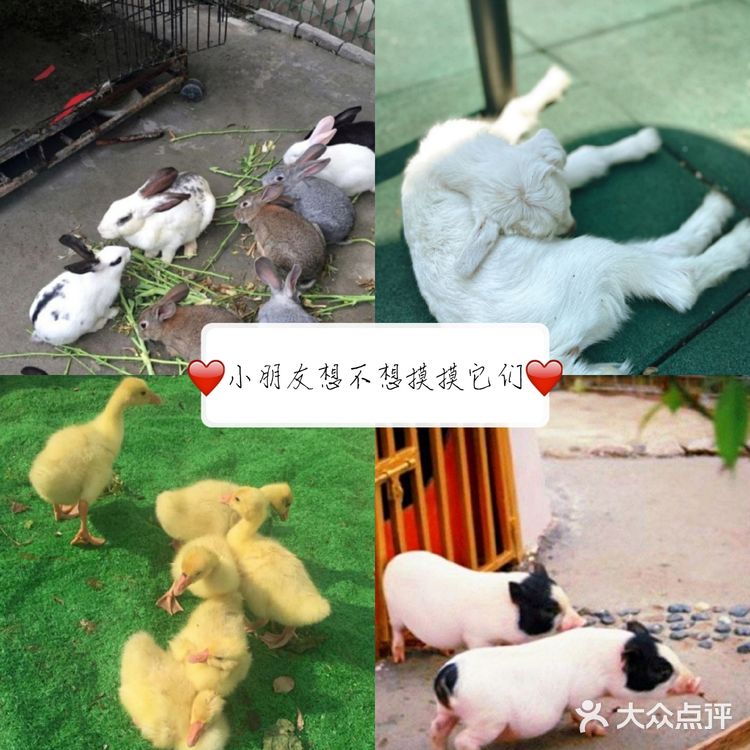 林荫新路1288号佘山茂御臻品酒店内(欢乐谷)