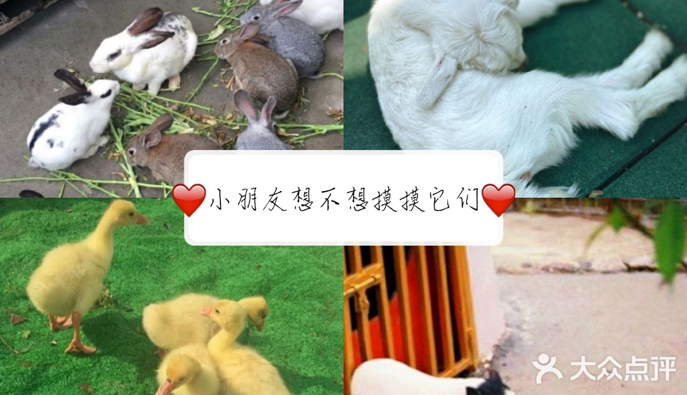 林荫新路1288号佘山茂御臻品酒店内(欢乐谷)