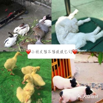 林荫新路1288号佘山茂御臻品酒店内(欢乐谷)