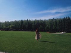 -合肥滨湖国家森林公园