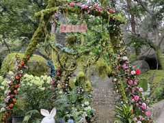 -沂蒙山旅游区云蒙景区(蒙山国家森林公园)