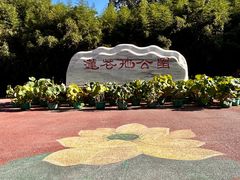 -莲花池公园