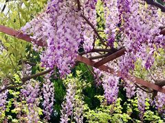 -尹兰楼西北风情餐厅(嘉定店)