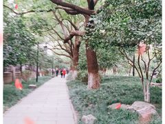 -浙江大学医学院附属第二医院(解放路院区)