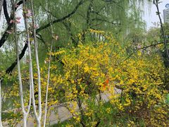 -宝鸡植物园