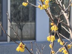 -国家植物园南园