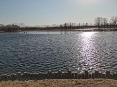 -大兴滨河森林公园