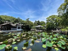 -无锡蠡湖国家湿地公园-蠡园