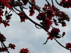 -东风公园