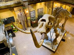 -信不信由你博物馆