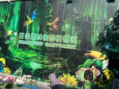 -正佳雨林生态植物园