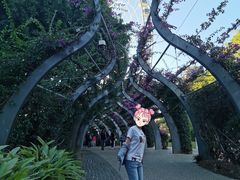 -布里斯班南岸公园