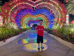 -三亚海昌梦幻海洋不夜城