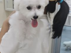 -德元·美联众合24小时动物医院(总院)
