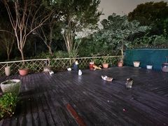 -九鼎轩脆毛肚火锅(商业街店)