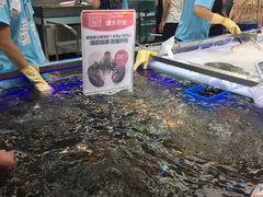 -盒马鲜生(大成店)