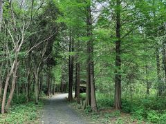 -溱湖国家湿地公园