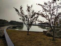 -滆湖低碳生态公园