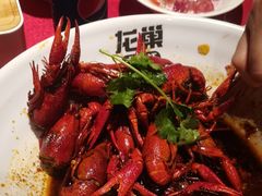 -龙巢盱眙龙虾·牛蛙·烧烤宵夜(八卦岭店)