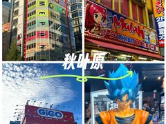-秋叶原电器街