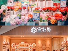 -盒马X会员店(上海森兰商都店)