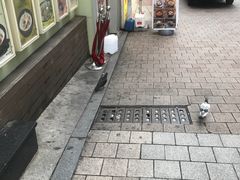 -神仙雪浓汤(明洞店)