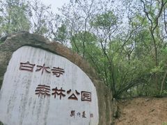 -白水寺森林公园