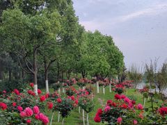 -滨湖塘西河公园